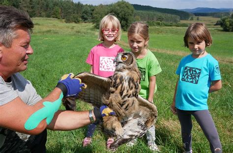 kam za zvířátky středočeský kraj|Zoo a zooparky středních Čech: Kam vyrazit na výlet。